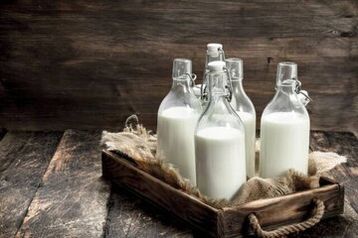 به دوغ نگهدارنده می زنند؟/ علائم فساد دوغ را بشناسید