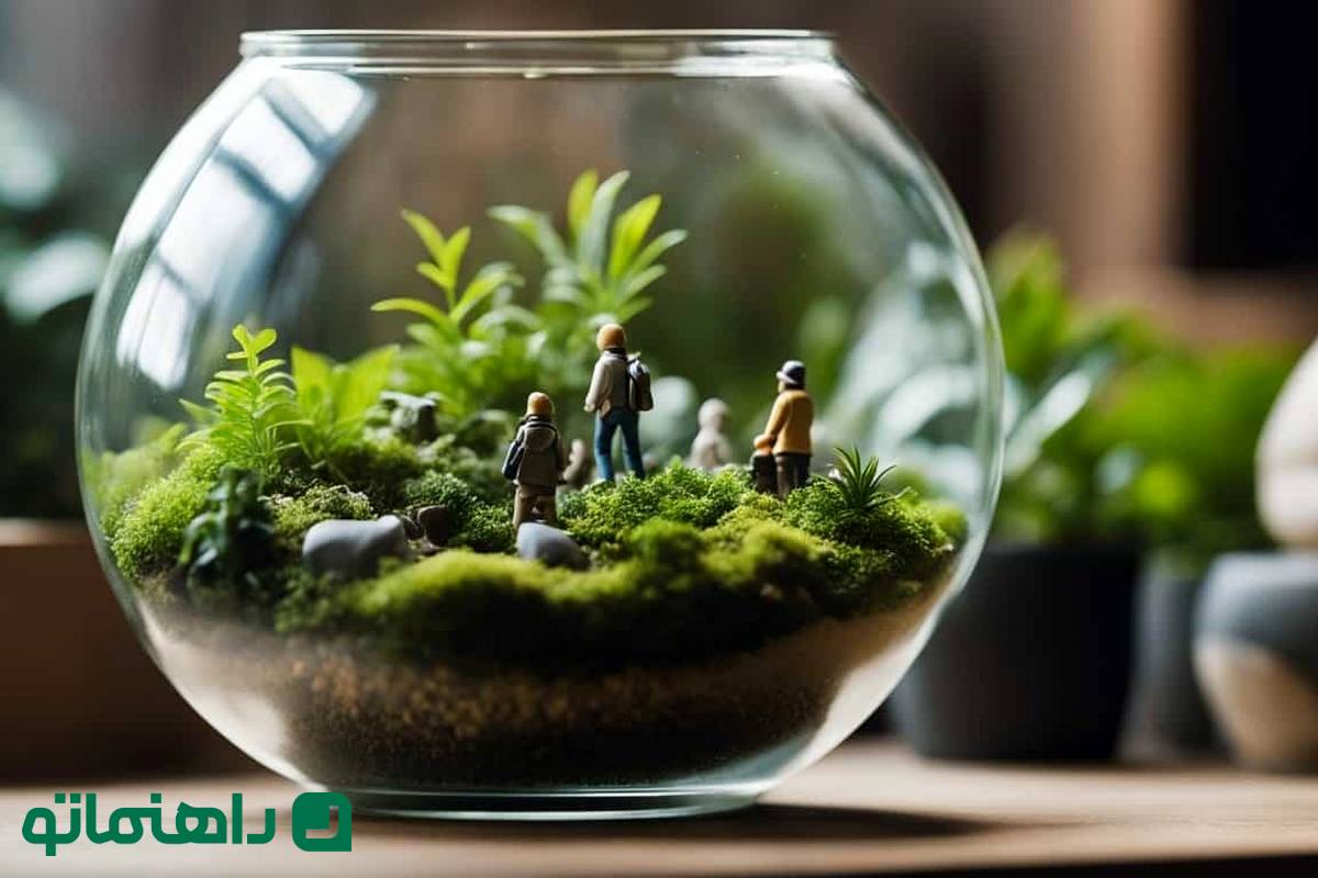 یک باغچه مینیاتوری زیبا؛ جذابترین گیاهان آپارتمانی برای تراریوم