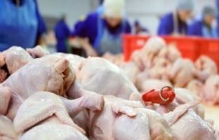 
قیمت گوشت مرغ، امروز شنبه ۲۹ دی ۱۴۰۳
