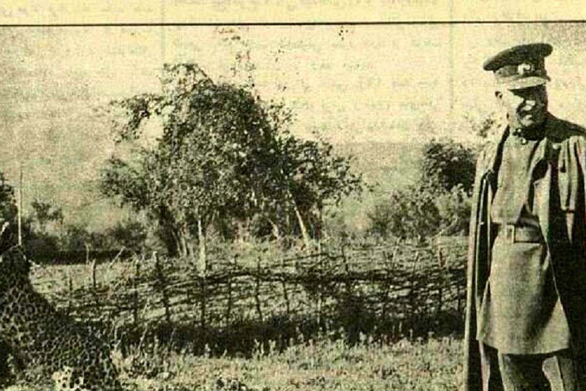 پلنگ مازندران مقابل رضاشاه آبروداری کرد! 