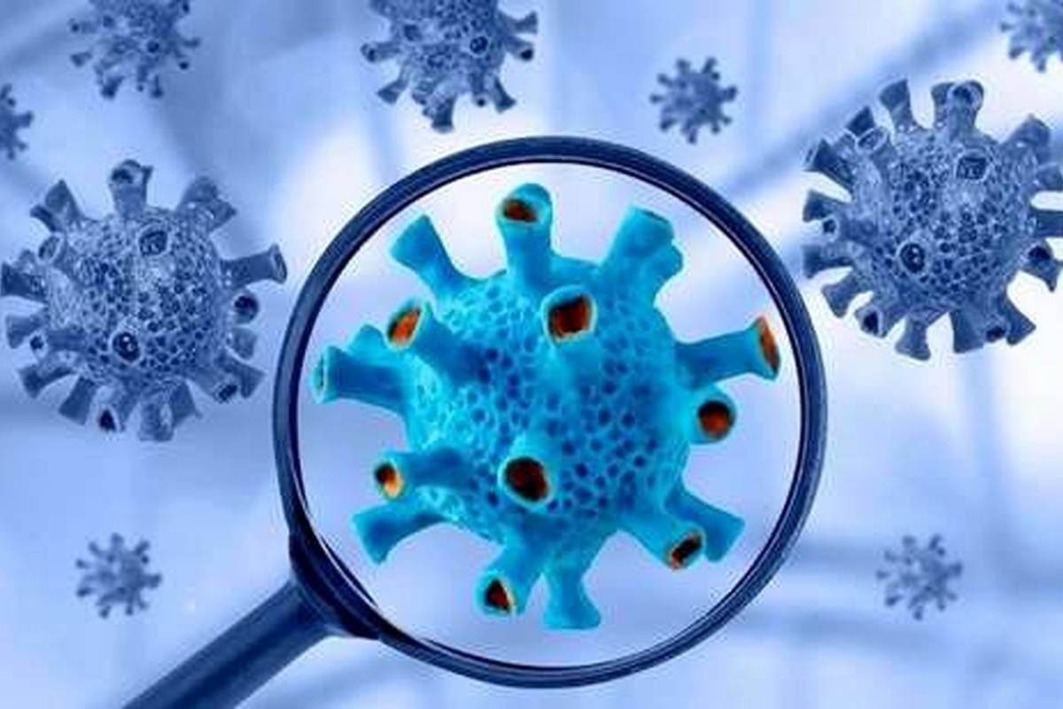 ویروس متاپنوموویروس، علائم و راههای پیشگیری از آن