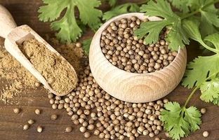 پودر گشنیز برای چه غذاهایی مناسب است ؟ / روش تهیه پودر گشنیز در خانه 