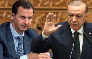 توییت دختر اردوغان: اسد سقوط کرد و اردوغان پیروز شد!