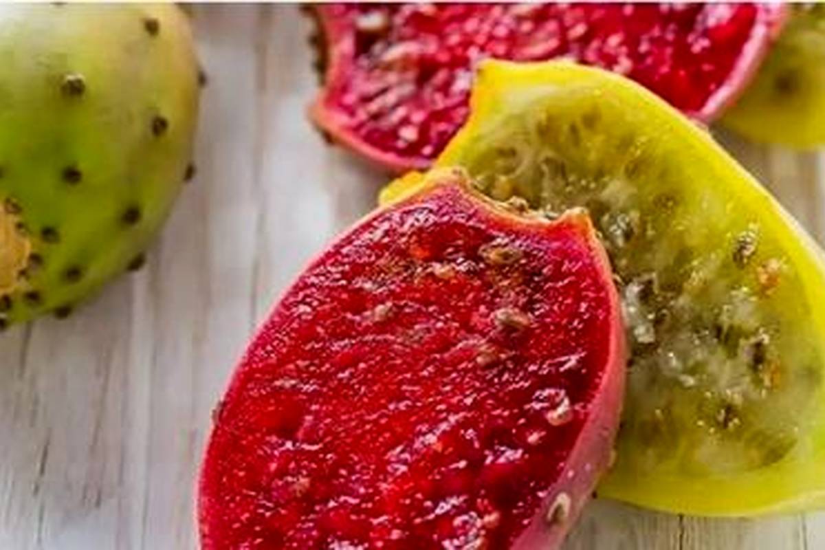 خواص میوه کاکتوس چیست؟ میوهای خاص با فوایدی بیپایان!