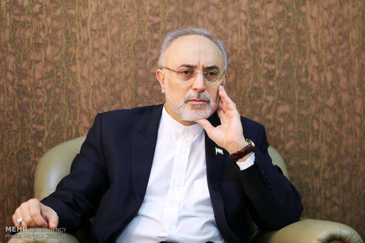 اظهارات جدید علی اکبر صالحی درباره بتنریزی در راکتور اراک