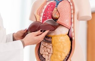 ۱۰ نشانه مهم کبد چرب | پیشگیری، تشخیص و درمان این بیماری خاموش