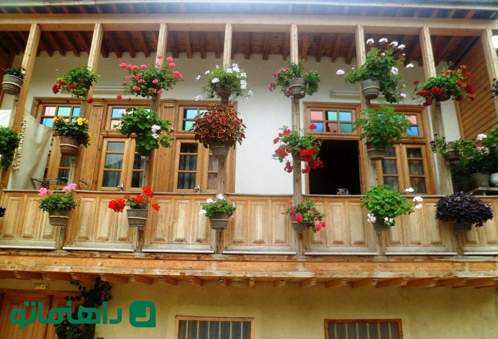 گیاهان آپارتمانی که حس و حال خانه‌های قدیمی ایرانی را دارند