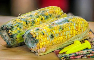 غذای کپک زده خطرناک است؟