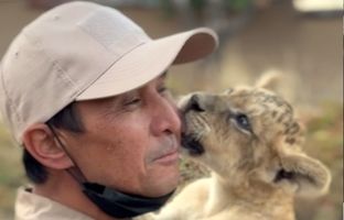 دیدار احساسی توله شیر با نگهبان باغ‌وحش + ویدئو