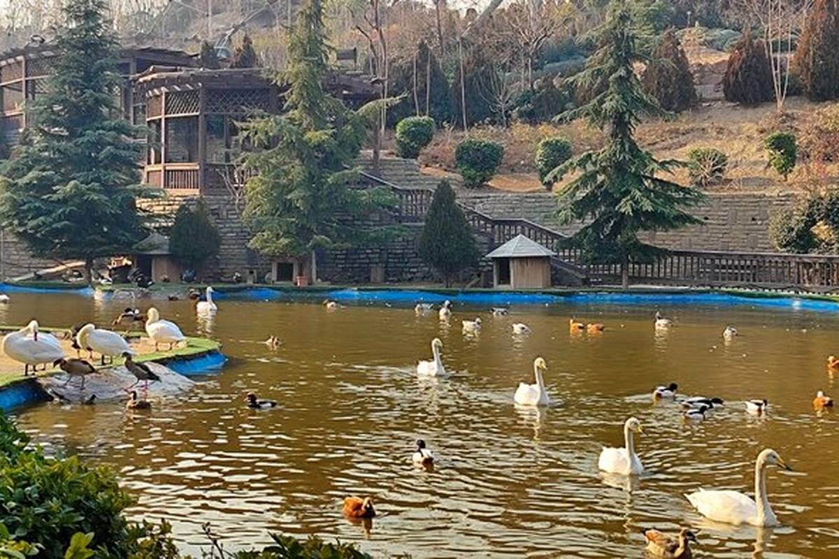 راهنمای سفر: باغ پرندگان تهران، زیباییهایی برای کودکان و گردشگران