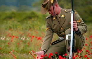 زبان خاموش گل‌ها؛ ۴ گل که نماد صلح هستند