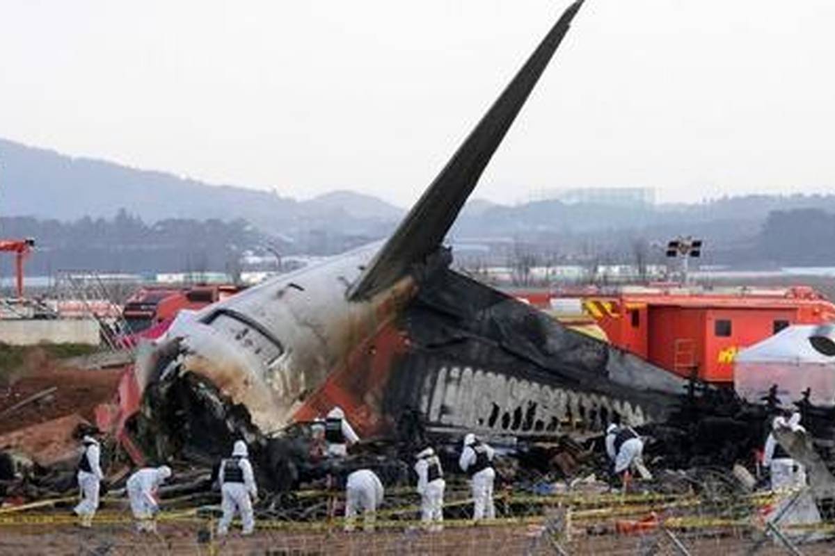 ثانیه های حیاتی: چگونه از یک سقوط هوایی نجاتپذیر جان سالم به در ببریم؟